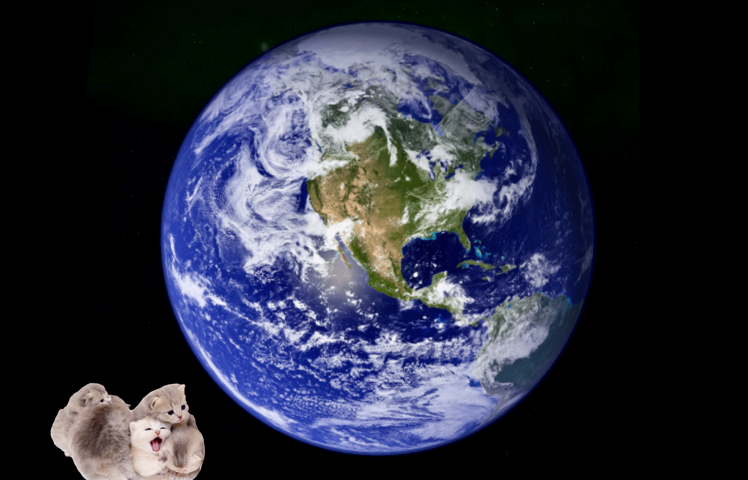 ＊Earth cat＊（Medical beauty household goods electrical appliances, etc.）